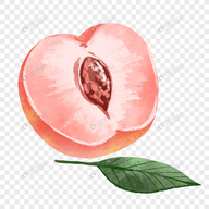 WWW,721se·COM网站APPAPP应用