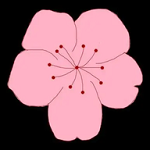 免费看片APPAPP应用
