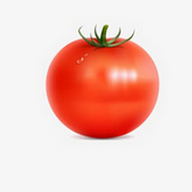 樱花视频免费版APP应用